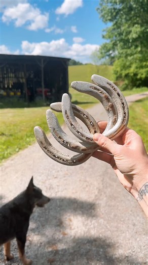 𝑨𝒎𝒃𝒆𝒓 | A horseshoe is widely considered a symbol of good luck and protection, often hung above doorways. This simple ‘free’ DIY project I made... | Instagram