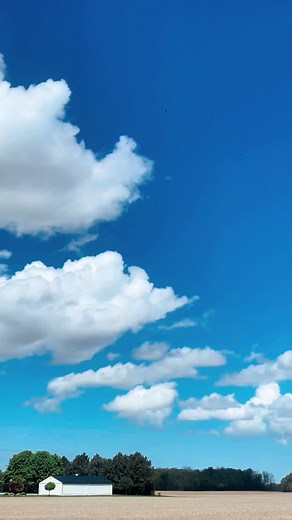 Funny Morning Motivation: Mind Your Business and Spread the Joy! 🤣