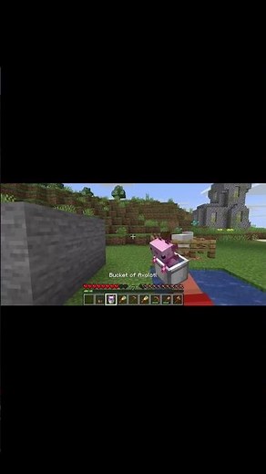 Punchy new update and axolotls! #minecraft #mods #modsminecraft #gaming #reels #minecraftshorts