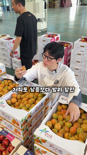 살구의 본고장 영천, 영천 살구는 다 맛있을까? #살구 #만금살구 #과일 #영천살구 #제철과일 #여름과일 #제철음식