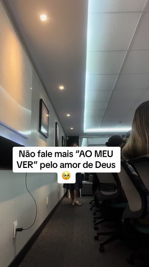 Correção de uso do pronome possessivo na expressão a meu ver em Português