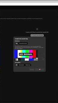 Wie kann man den API-Key vom Elektronikshop-Projekt kreieren und herauskopieren ?