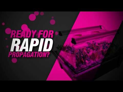 X-Stream Aeroponic Propagator from Nutriculture Grow Systems