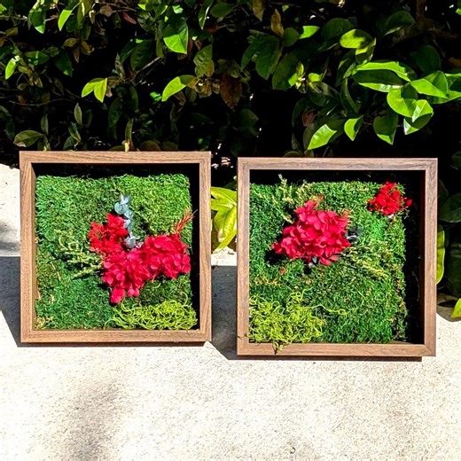 Moss Wall Art 2 Piece – Preserved Moss Frame | Handmade Botanical Wall Decor | Eco Nature-inspired Artwork | Natural Green Living Decor - Etsy