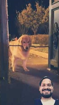 #funny short 😂😂#