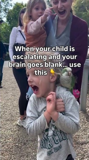 The 5-Step Script Every Parent Needs During Meltdowns