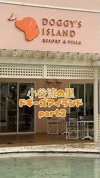 【ドギーズアイランド 1泊2日🐾part❷】ドッグランも水遊びも全力。愛犬の表情の全部が愛おしくなるロケーションでした#犬旅 #ドギーズアイランド #愛犬と旅行 #犬と泊まれる宿 #水遊びデビュー