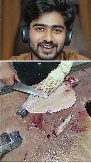 How to Clean Trout Fish Perfectly | Easy & Quick Fish Cleaning Tips