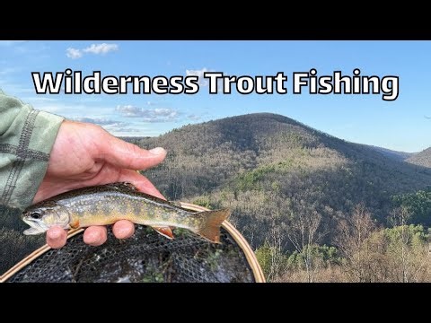Wilderness Trout Fishing Spring 2026 With Helpful Tips