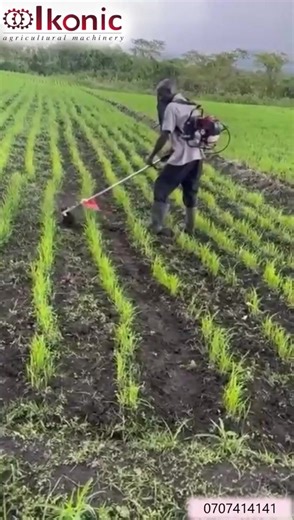 #sale Did you know it's not a must for you to attach both weeding blades. With the spacing of your crops, you can make a decision of whether to use both or one. It will still work perfecly and it's efficiency won't decrease. Call us on 0707414141. We are located along Eastern Bypass opposite AP Training College and Ngara along Park Road opposite Muslim Academy.— and Ikonic Agricultural Machines - Ngara | Ikonic Agricultural Machines