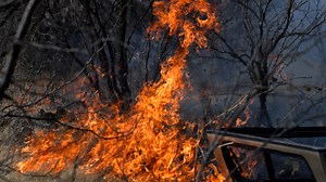 Texas wildfire maps and other resources