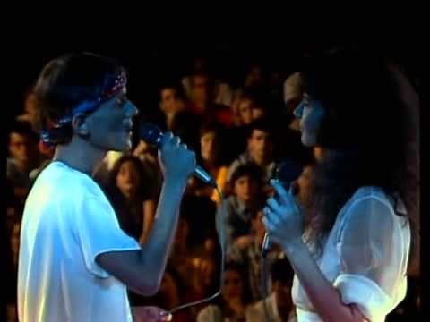 Cazuza Codinome Beija Flor