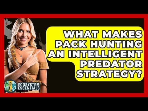 What Makes Pack Hunting An Intelligent Predator Strategy? - Ecosystem Essentials
