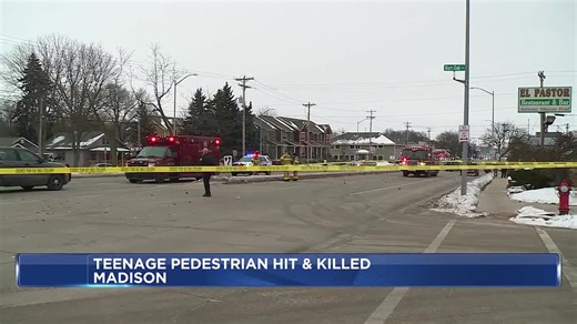 High school student dies after being hit by vehicle while walking to school