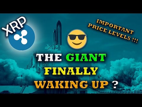 XRP : PREPARE FOR MASSIVE PRICE MOVEMENTS