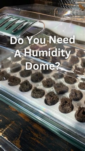 From Seed to Spoon Gardening App on Instagram: "Do you need a humidity dome when starting seeds indoors? In most all cases, yes. Humidity domes help hold in moisture and warmth during germination which will greatly improve your success rate! The key is airflow - especially for seeds that can be prone to fungal issues. That’s why adjustable vents (like on the Park Seed Bio Dome) make such a difference. Have any of you noticed a huge difference when using a humidity dome as well? #gardentip #garde