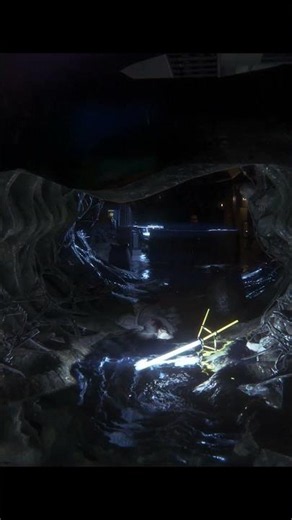 Deep Inside the Alien Hive | #alien #aliens #alienisolation #alienisolationgameplay