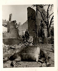 Photographs & Footage Galleries - 1st Infantry Division