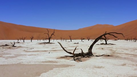 Deadvlei from Above: Namibia's Timeless Natural Tapestry