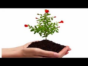 10 Small Ways to Conserve and Protect Our Environment - Health Report (HD)