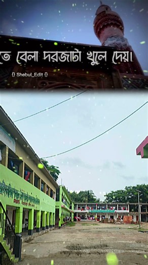 আল্লাহ কত দয়াময় #islamicshorts #foryou #islamicvideo #wajak