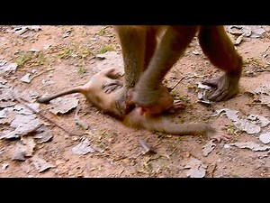 Baby Shows Love With Eyes