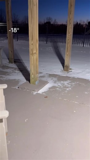 #dogboots #bostonterrier #dogsoftiktok | boston terrier