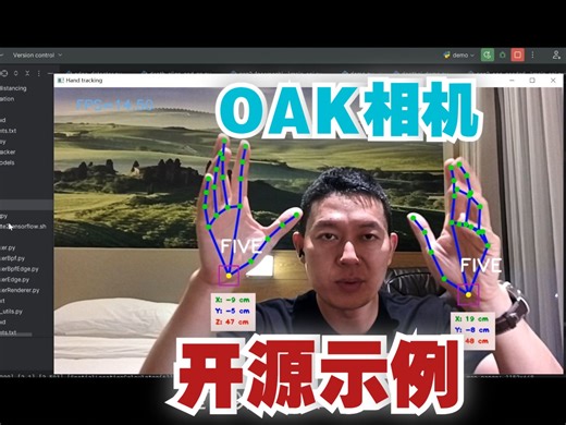 OAK智能双目相机demo演示