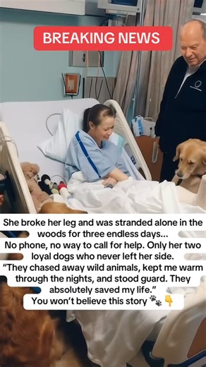 Sofia Pupworld on Instagram: "Woman with Broken Leg Survives 3 Days Alone in the Forest, Protected Only by Her Two Dogs: “They Saved My Life” 🐾💔 A woman was finally rescued after enduring three long days stranded deep in a remote forest with a fractured leg, her survival owed entirely to her two devoted dogs. With no cell signal and unable to move, her dogs became her lifeline, keeping her warm through freezing nights and scaring away wild animals. “I wouldn’t be here today if it weren’t for t