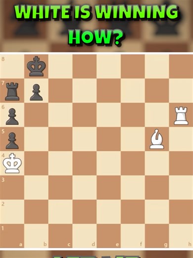 Mastering Chess Endgame Strategies for Winning