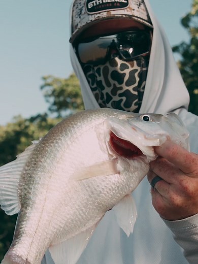 Mastering Bass Fishing Techniques with Fiction Shad