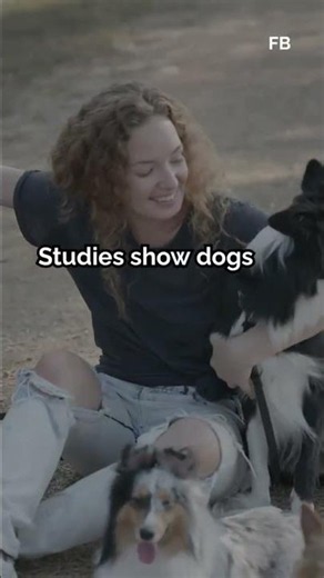 How Dogs Remember Human Faces for Years: The Science Behind Their Memo