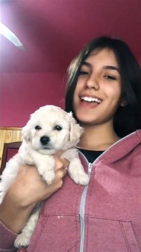 New video from @brisa_kovalchuk #Shorts #brisa_kovalchuk