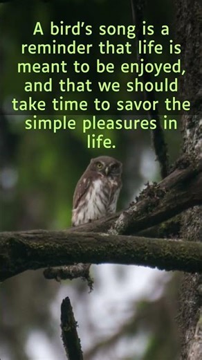 "Chirping Wisdom: Timeless Quotes and Insights from the World of Birds" quote 70