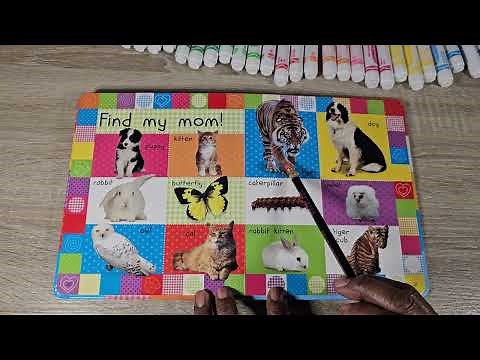 Busy Baby First 100 Animals... Picture book