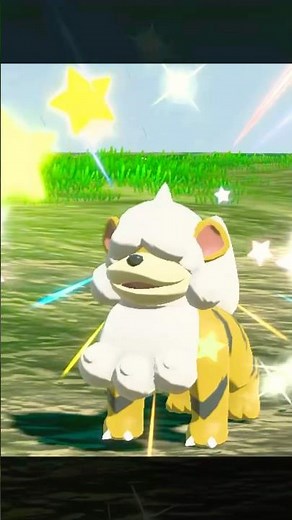 ✨ Shiny Hisuian Growlithe Unveiling! 🌟 Pokémon Day Magic!🔥#pokemon #shinypokemon #shorts