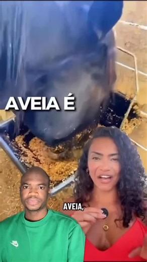 Conhecimento on Instagram: "𝐀𝐯𝐞𝐢𝐚 𝐞́ 𝐫𝐚𝐜̧𝐚̃𝐨 𝐝𝐞 𝐜𝐚𝐯𝐚𝐥𝐨?! 🐴 Cuidado com os achistas, senão vão achar que não podem comer mais nada! Referências bibliográficas ZAREMBA, S. M.; GOW, I. F.; DRUMMOND, S.; McCLUSKEY, J. T.; STEINERT, R. E. Effects of oat β‑glucan consumption at breakfast on ad libitum eating, appetite, glycemia, insulinemia and GLP‑1 concentrations in healthy subjects. Appetite, 2018, v. 128, p. 197‑204. DOI: 10.1016/j.appet.2018.06.019. Disponível em: https://pubm