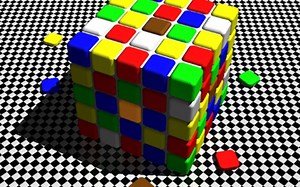 【公开课】杜克大学 视觉感知和大脑 第一章 Visual Perception and the Brain (Module One)