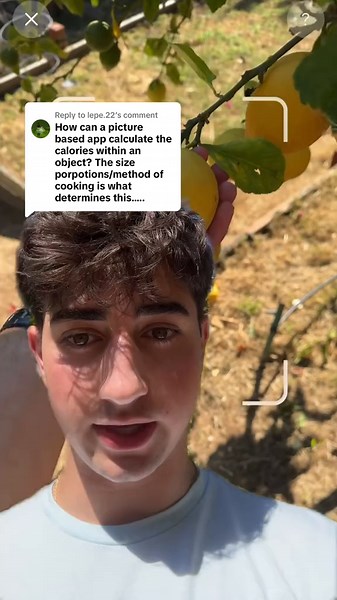 AI Calorie Tracking App: How It Works