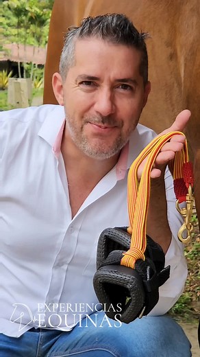 #elasticos #elasticoscaballos #elasticospatas