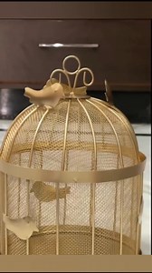 #netbasket #forvegitables#forfruits . . . #digitalmahila #viralreels #explorepage #forall #usefulproduct . . . #instagramreels #instagood #instadaily | Jyothi Gaja