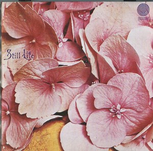 Still Life - Still Life