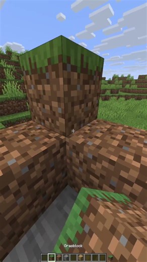 Ohne Mods #minecraft #minecraftshorts #gaming #mc