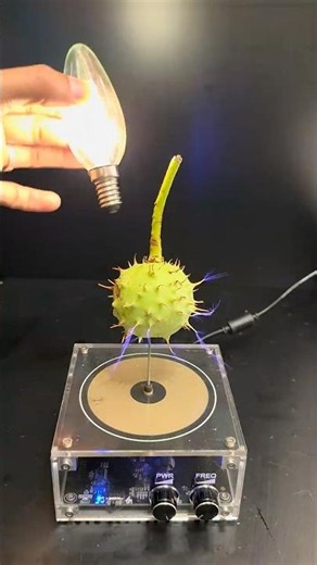 Lightning power 🔥⚡️ #teslacoil #experiment