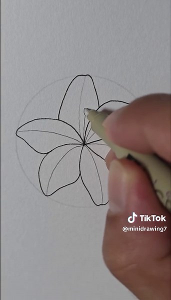 flower drawing #minidrawing #flower #howtodraw #easysketch #illustration