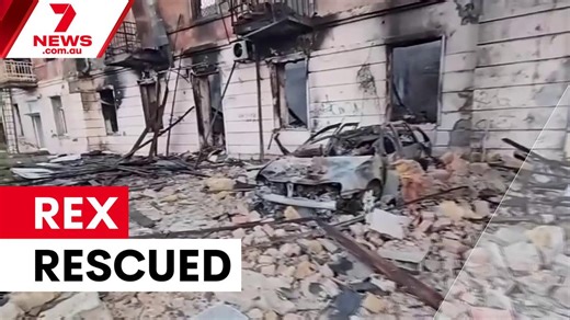 Rex Airlines saved as new international routes launch