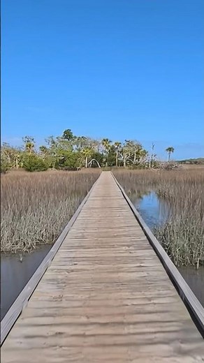 Edisto Beach State Park Nature Trail South Carolina