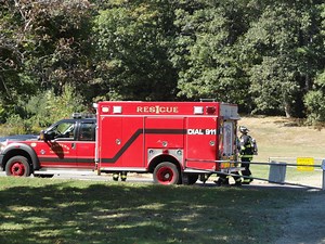 Animal Caused Substation Explosions