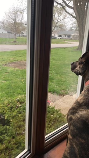 April Mathes on TikTok