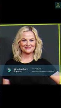 Amy Poehler’s Boston roots came out in wild plane fight in front of baby